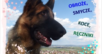 Zbiórka prezentów  dla Psiaków z Łącka 