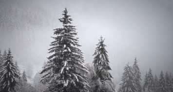 Wesołą nowinę, bracia słuchajcie 